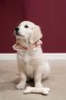 Zusss bandana love ruit roze/wit